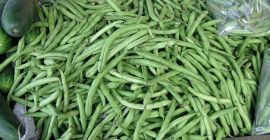 Oferujemy świeżą zieloną fasolkę, czerwoną, czarną fasolę itp. W