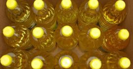 i will sell Grade A refined sunflower from Ukraine