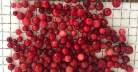 Borówka czerwona (brusznica). Certyfikat Organiczna klasa A. Produkt jest