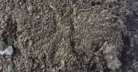 Makuch słonecznikowy w ofercie specjalnej! Cena netto za tonę