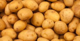 Typ: Potato.Product Type: Potato.Style: Fresh.Cultivation Typ: Common.Shape: Round Dojrzałość: