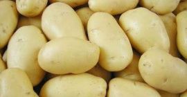 Nasze ziemniaki z Holandii. jesteśmy jednym z wiodących producentów,