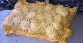 i will sell fresh potatoes (whats:app +4565744605) caliber :50+