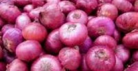 The amazing onion provides a great place to eat.