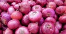 mamy szeroką gamę granulatów odwodnionej czerwonej / białej cebuli,