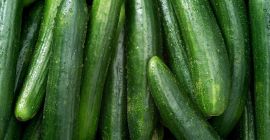 Świeży i konserwowany ogórek Typ: ogórek kiszony Specyfikacja +