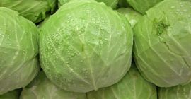 Kapusta 1kg-2kg, WhatsApp: +4536981823