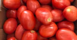 Nasza firma jest głównym dostawcą produktów rolnych pochodzenia azjatyckiego,