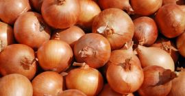 Cebula kalibru 5+, marchew, stare ziemniaki, czosnek najlepsza cena