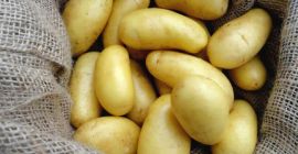 Cebula kalibru 5+, marchew, stare ziemniaki, czosnek najlepsza cena