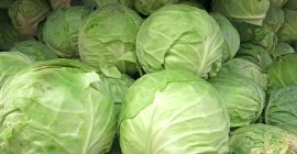 Kapusta 1 kg - 2 kg z Danii, dobra