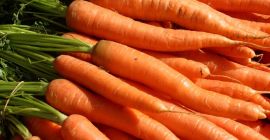 świeża cebula kalibru 5+, świeża marchew, stare ziemniaki, czosnek,