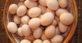 Sprzedam jaja z wolnego wybiegu 4000sztuk tygodniowo możliwość sprzedaży