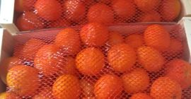 Sprzedam mandarynkę Ortanique pakowanie 10kg drewno Około 10 ton,
