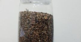 parduodant grikius 520 tonų, ant lifto Kaliningrado srityje. visi