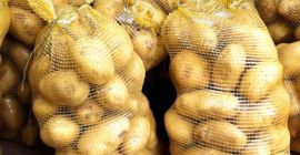 Ziemniak Cebula Uzbekistan Pochodzenie Kapusta gatunku Jesteśmy zwolnionymi produktami