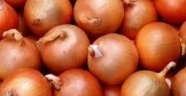 świeża cebula: 1. Pochodzenie: Niemcy 2. opakowanie: 10 kg