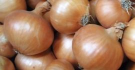 świeża cebula: 1. Pochodzenie: Niemcy 2. opakowanie: 10 kg