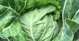 Ladies and Gentlemen, I wish you a good day!