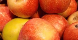Fresh apple available and high quality command from any