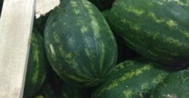 ARBUZY SPRZEDAM ARBUZY Z IRANU. PIEKNE, SOCZYSTE ( prestigefruityparadise@gmail.com