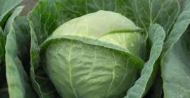 Panie i Panowie, życzę miłego dnia! Jesteśmy PZIFF IMPEX,