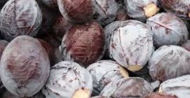 Panie i Panowie, życzę miłego dnia! Jesteśmy PZIFF IMPEX,