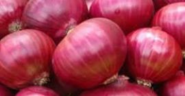 świeża cebula: 1. Pochodzenie: Niemcy 2. opakowanie: 10 kg
