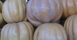 Drogi Cenny Nabywca, Jesteśmy jednym z wiodących eksporterów produktów