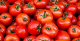 Jesteśmy wiodącymi producentami wszelkiego rodzaju świeżych warzyw na świecie,