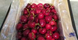 Sprzedam czereśnię, ładna, świeża, import Hiszpania.