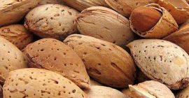 Migdały nie obrane do obróbki Będę sprzedawał migdały do