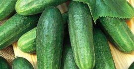 Zbiory melona 2019 z Uzbekistan Oferujemy świeże melony i