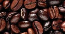 Dostarczane przez nas suche ziarna kawy są cenione za