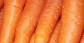Fresh Carrot na sprzedaż. rozmiar: S, M, L, 2L,