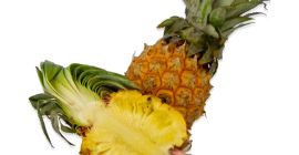 Sezon: Runda roku Pochodzenie: Ameryka Środkowa / Południowa i