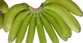 Jesteśmy jednym z wiodących eksporterów z Niemiec. Dostarczamy wysokiej