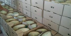Sprzedam melona. Kraj pochodzenia to Uzbekistan. Bardzo słodka gwarancja