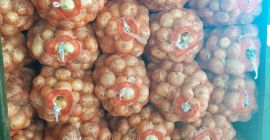 Będę sprzedawał cebulę doskonałej jakości. Duże ilości mogą zapewnić.