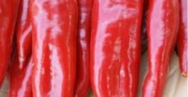 Sprzedam pieprz czerwony Pochodzenie towarów Turcja Bardzo dobrej jakości