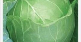 Sprzedaż jednostek: Pojedynczy przedmiot Rozmiar pojedynczego opakowania: 40X30X22 cm