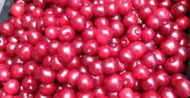 Wiśnie prost z sadu w Mieszkowicach, bez pośredników. Rozpoczęcie