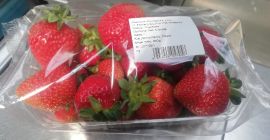 Truskawka polska, ładna, świeża, 10x500 g opakowanie