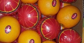 Możliwość dostawy: 5000 ton metrycznych / ton metrycznych na