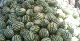 Sprzedamy arbuzy z transportem do Warszawy 4-10kg, tylko ilości