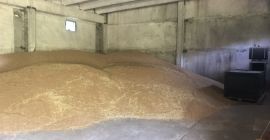Prodavam Hlebna Odmiana pszeniczna Sofu 180 ton Meister-60 ton