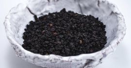 The dark blue-purple berries of the elder tree, also