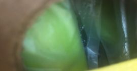 Sprzedam banany - premium - cały kontener, zielone, oclone.