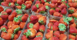 Fresh strawberry, top quality, good for export, 500 g