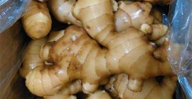 1. Waga: 100 g do 150 g, 200 g